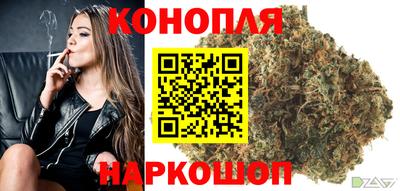 соль ск Новодвинск