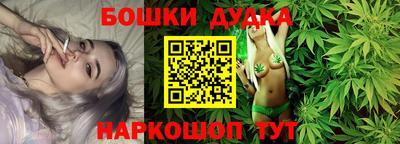 соль ск Новодвинск